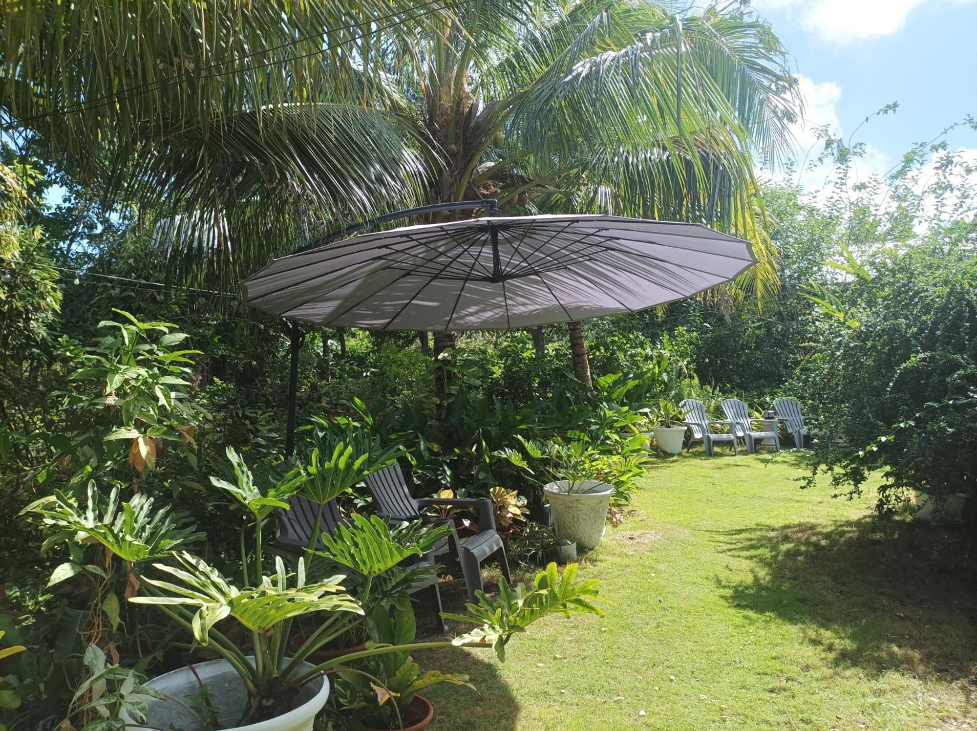 Lighthaus Dp Garden Resort Siquijor Extérieur photo
